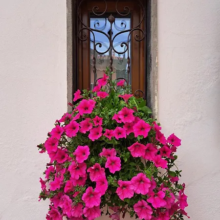 Casa Cascata * Cunardo